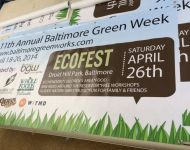 Ecofest Banner